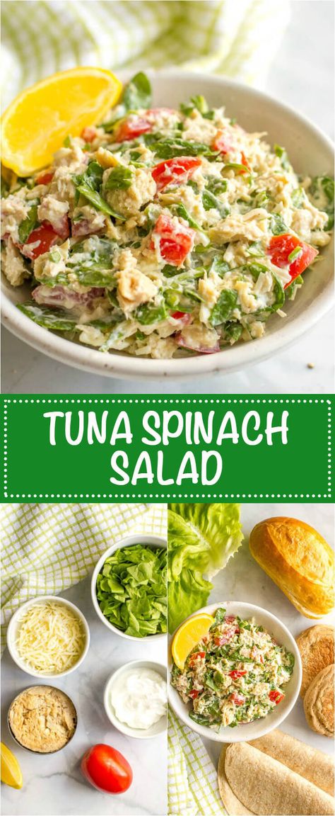 Tuna spinach salad with tomatoes and mozzarella is a light, fresh and healthy lunch ready in just 10 minutes! Serve it as a salad, in a wrap, with crackers or as an open-faced melt! | www.familyfoodonthetable.com Specialty Salads, Tuna Spinach, Seafood Salads, Lower Ldl, Tomatoes And Mozzarella, Salad With Tomatoes, Yummy Salads, Tuna Sandwich, Paleo Lunch