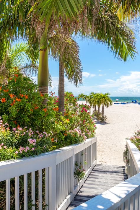 Boardwalk beach, St. Pete Florida Image via Canva Pro #florida Florida Houses On The Beach, Florida Vision Board, St Petersburg Florida Aesthetic, Living In Florida Aesthetic, Beach House Florida, Siesta Beach Florida, May Moodboard, Florida Beach Aesthetic, Dhermi Albania