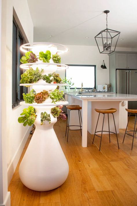 Indoor Hydroponic Gardening, Lettuce Grow, Hydroponic Gardening System, Tattoo Plant, Hydroponic Farming, Hydroponic Growing, Farm Stand, Hydroponic Gardening, Led Grow