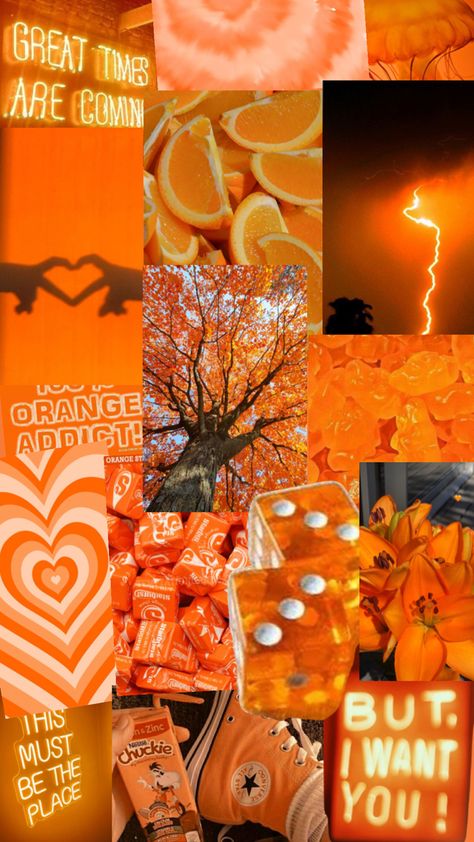 orange preppy Colour Collage, Color Aesthetic, Color Collage, A Collage, Aesthetic Collage, One Color, Orange Color, Collage, Orange