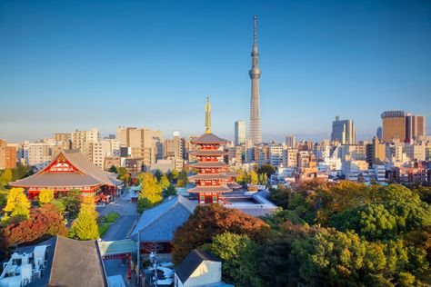 The Best Things To Do in Tokyo This Month: October 2024 Sunset In Japan, Tokyo Cityscape, Things To Do In Tokyo, Tokyo Skyline, Tokyo Restaurant, Autumn Sunset, Tokyo Tower, Ski Holidays, Most Beautiful Gardens