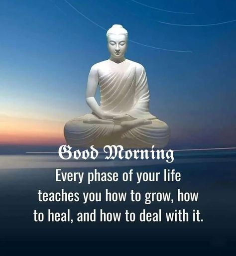 Budha Quetos About Life, Quetos About Life, Good Morning Buddha, Buddha Quotes Life, Buddhism Quotes, Picture Quote, Good Morning Spiritual Quotes, Morning Nature, Happy Morning Quotes