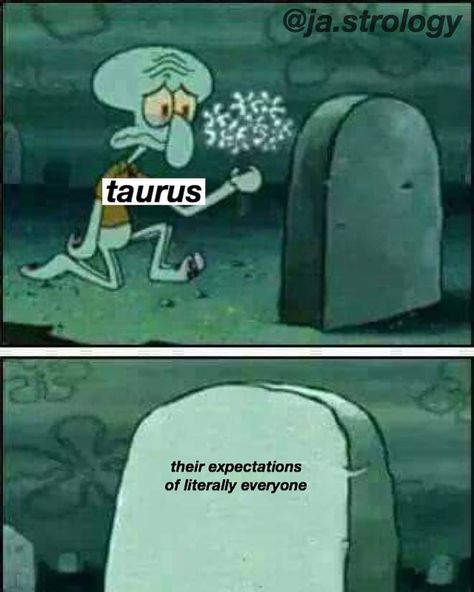 Taurus Wallpaper, Taurus Memes, Taurus Traits, Horoscope Memes, Taurus Bull, Taurus Zodiac Facts, Taurus Quotes, Astrology Taurus, Capricorn Facts