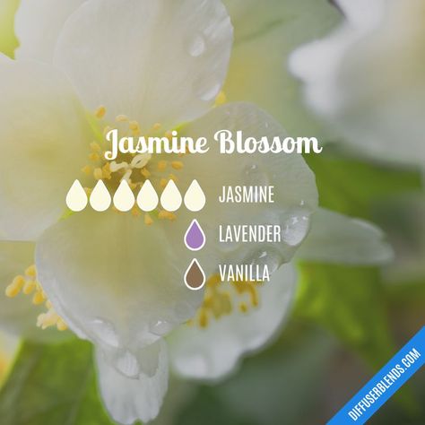 Essential Oil Combinations, Essential Oil Diffuser Blends Recipes, Magia Das Ervas, Jasmine Essential Oil, Essential Oils Guide, Yl Essential Oils, Essential Oil Diffuser Recipes, Oil Diffuser Recipes, Essential Oil Mixes