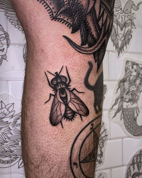 𝖘𝖔𝖙𝖏𝖆 on Instagram: “Another fly out of the “nice price book”! @ageoflovetattoo #athens #traditionaltattoo #sotjatattoo #athenstattoo #flytattoo…” Fly Tattoos, Minimalist Sketch, Fly Tattoo, Flying Tattoo, Price Book, Dreamcatcher Tattoo, Tattoo Artist, Flash Tattoo, Traditional Tattoo