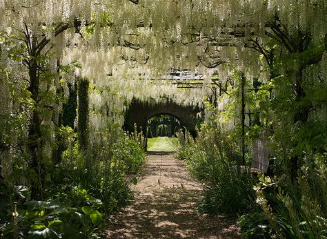 petworth house Cloister Garden, Petworth House, Wisteria Pergola, House Gardening, Pergola Carport, Pergola Swing, Exterior Inspiration, Carport Designs, Sussex England