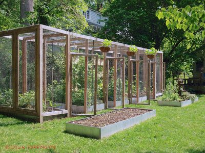 Excellent rodent/bird proof garden enclosure by COLIN PURRINGTON Squirrel Proof Garden, Garden Enclosure Ideas, Fenced Vegetable Garden, Covered Garden, Veg Garden, A Squirrel, Vegetable Garden Design, Food Garden, Fruit Garden