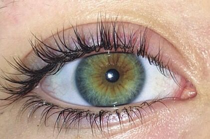 @rosiiemariie Central Heterochromia, Pretty Eyes Color, Hazel Green Eyes, Beautiful Eyes Color, Hazel Green, Eye Close Up, Blue Green Eyes, Eye Photography, Aesthetic Eyes