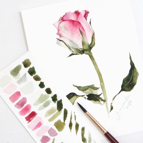 Malen Work For, Rose Watercolor, Instagram Painting, 수채화 그림, Beautiful Painting, Watercolor Inspiration, Watercolour Tutorials, Watercolor Drawing, Watercolor Pencils