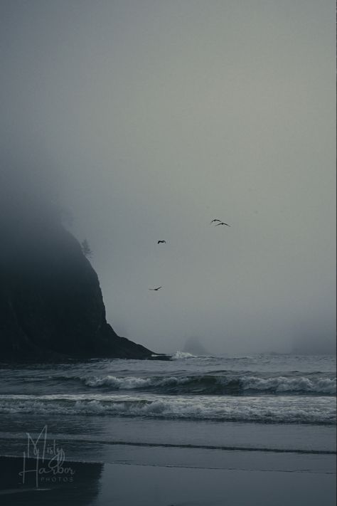 Four birds fly over stormy ocean waves and seastacks  covered in gray fog. Raging Sea Aesthetic, Foggy Beach Painting, Foggy Rocky Beach, Dark Wood Beach House, Misty Beach Aesthetic, Foggy Ocean Aesthetic, Foggy Lighthouse, Foggy Island, Foggy Ocean