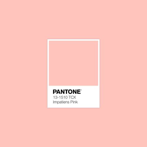 2,625 Pantone Colors. Endless possibilities. Explore FHI Cotton TCX in 1 click for FREE! · PANTONE 13-1510 TCX Impatiens Pink Color · #Pantone #Color #ColorBook #Inspiration · @pantonecolor · Kid’s Pattern Pale Peach Color, Color Library, Pantone Swatches, Pantone Palette, Color Pantone, Fashion Textiles, Pantone Colour Palettes, Peach Aesthetic, Rainbow Room