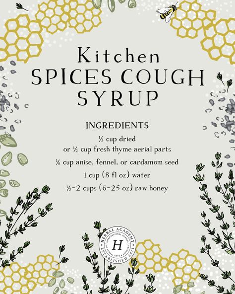 Easy Homemade Kitchen Spices Cough Syrup | Herbal Academy | This Kitchen Spices Cough Syrup recipe can support the resolution of colds, the flu, and other lower and upper respiratory tract infections. Cough Syrup Recipe, Herbal Academy, Herbal Recipes, Herbal Apothecary, Natural Healing Remedies, Herbal Healing, Herbal Magic, Kitchen Spices, Natural Cough Remedies