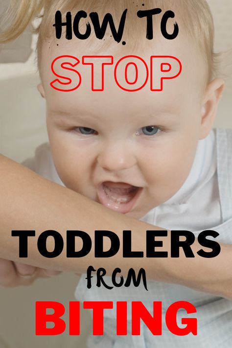 Toddler biting is very common and normal in early childhood. Babies and toddlers bite for a variety of reasons. Find out why they bite and how to stop them in the article. Toddler Biting, Toddler Classroom, Bad Kids, Do Baby, Frugal Tips, Baby Brother, Baby Things, Positive Parenting, Infant Activities