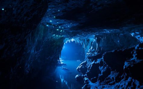 These caves in New Zealand are lit entirely by glow worms (PHOTOS) http://wrd.cm/1G4F5x3 Mroczny Elf, Waitomo Caves, Glow Worm Cave, Limestone Caves, Long Exposure Photos, Dark Cave, Underwater Caves, Cave System, Glow Worm