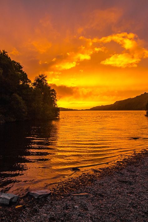 Cloud Photo, Gold River, Wilderness Camping, Free Cloud, Photography Club, Scenery Pictures, Lake Sunset, Water Water, Water Resources