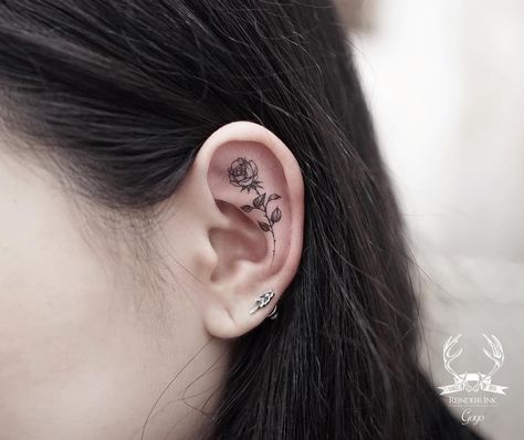 Little Rose on Ear by goyotattooart Poppy Tattoo Ideas, Rose Tattoo Behind Ear, Tattoo Ear, Inner Ear Tattoo, Small Rib Tattoos, Small Tattoo Placement, Poppy Tattoo, Orchid Tattoo, Small Rose Tattoo