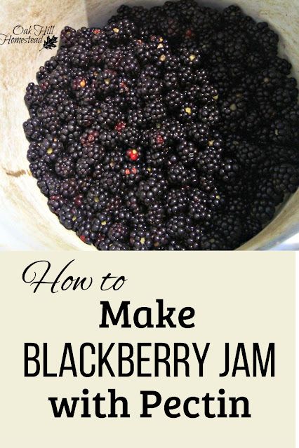 How to make blackberry jam with pectin Blackberry Jam With Pectin, Blackberry Jam No Pectin, Jam With Pectin, Blackberry Jelly Recipe, Blackberry Freezer Jam, Canning Blackberries, Forage Recipes, Make Vinegar, Seedless Blackberry Jam