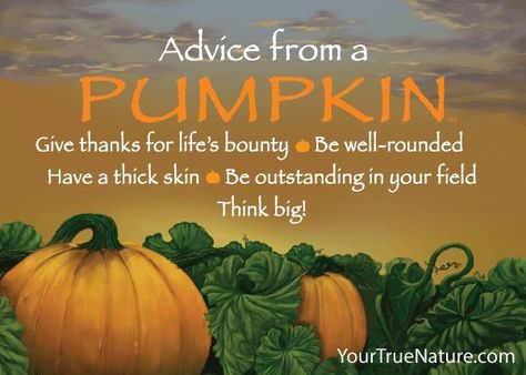 Weather Quotes, Thanksgiving Card, Thick Skin, Thanksgiving Quotes, Autumn Quotes, Celebrate Life, Advice Quotes, Think Big, Fall Decorating