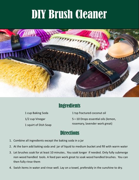 Diy Horse Wash Bay, Tack Room Organization Diy, Horse Diy Ideas, Diy Horse Stuff, Horse Brush Organization, Diy Hay Steamer For Horses, Tackroom Ideas, How To Clean Horse Brushes, Barn Hacks Horse