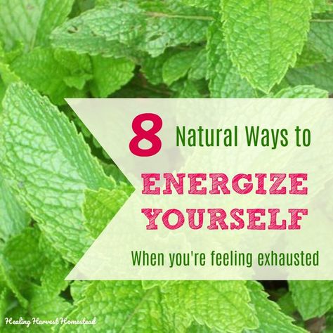 8 Natural Ways to Transform Tiredness Into Energy! (How to Stop Feeling SO Tired!) Tiredness Remedies, Energy Remedies, Chronic Fatigue Remedies, Extreme Tiredness, Mindful Activities, Nature Healing, Life Activities, Herbal Salves, Tons Of Money