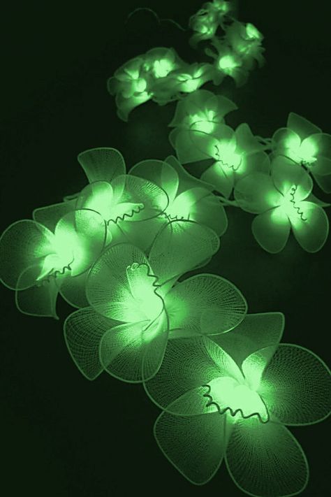 Emerald Green And Gold Aesthetic, Green Aethstetic, Bright Green Aesthetic, Green Neon Aesthetic, Jade Green Wallpaper, Green And Black Aesthetic, Lime Green Aesthetic, Emerald Aesthetic, Neon Green Aesthetic