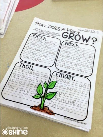 Plant Lessons, Grade 3 Science, Second Grade Science, Plant Activities, Plants Unit, Procedural Writing, 1st Grade Science, Nutrition Quotes, First Grade Science