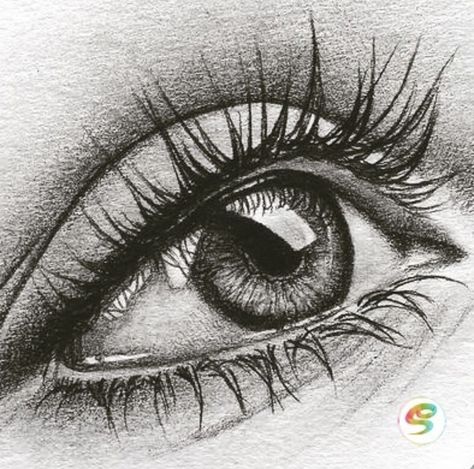 Eyeball Drawing Realistic, Real Eyes Drawing, Real Eye Drawing, Realistic Eye Drawing Pencil, Detailed Eye Drawing, Eye Realistic Drawing, Hyper Realistic Eye Drawing, Eyes Drawing Realistic, Eye Sketch Realistic