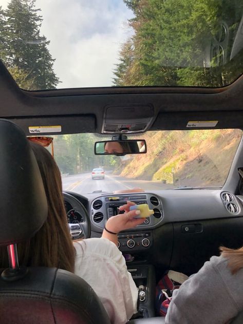 Summer Road Trip Aesthetic, Car Road Trip, Oregon Trees, Road Trip Aesthetic, Girls Roadtrip, Trip Aesthetic, Beach Cars, Road Trip Car, Florida Girl