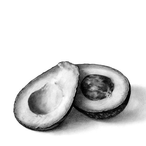 Avocado Sketch Pencil, Avocado Pencil Drawing, Pencil Art Drawings Realistic Objects, Hyper Realistic Pencil Drawings, Avocado Drawing, Drawing Classes For Kids, Still Life Sketch, Drawing Classes, Free Drawing