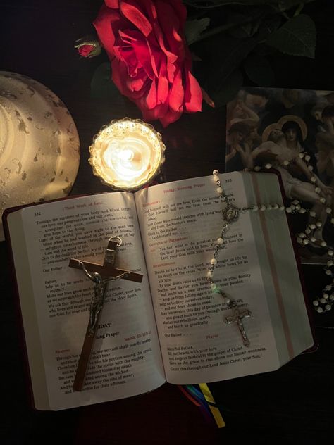 Catholic Photography, Bible Photos, Catholic Wallpaper, Catholic Doctrine, Profile Picture Images, Church Aesthetic, Catholic Decor, Inspire Bible Journaling, Bible Quotes Images