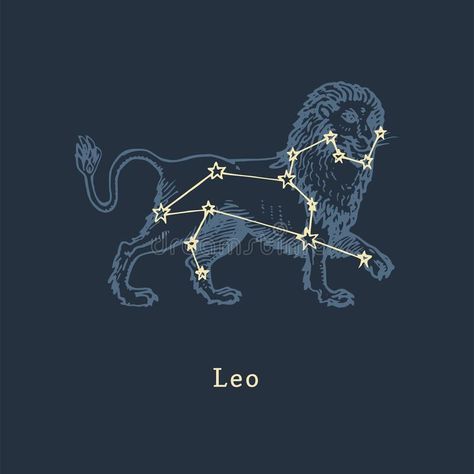 Leo Constellation Aesthetic, Astrology Leo Aesthetic, Constellation Design Graphics, Leo Illustration Zodiac, Leo Constellation Drawing, Lion Tattoo Aesthetic, Leo Star Sign Aesthetic, Leo Zodiac Illustration, Leo Sign Wallpaper