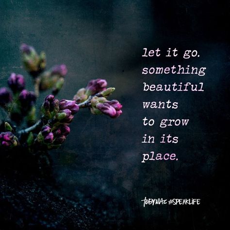 Let it go. Something beautiful wants to grow in its place. Tobymac Speak Life, Toby Mac, Imam Ali Quotes, I Love My Daughter, Joy Of The Lord, Speak Life, Motivational Thoughts, Ali Quotes, October 19