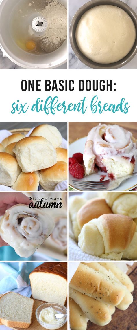 One Basic Bread Dough + SIX VARIATIONS (rolls, breadsticks, cinnamon rolls, etc)! - It's Always Autumn Things To Make With Yeast Easy Recipes, Universal Bread Dough, Universal Dough Recipe, Easy Bread Recipes For Beginners Videos, Homesteading Recipes Cooking, Quick One Person Meals, Making Bread For Beginners, Cooking From Scratch Recipes, Food Processor Bread