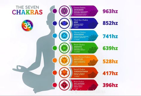 Frequencies Chart, The Seven Chakras, Solfeggio Frequencies, Color Palette Challenge, Chakra System, Vagus Nerve, Healing Frequencies, Seven Chakras, Vibrational Energy