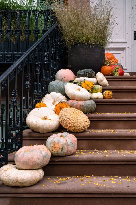 Fall Planter Ideas, Mums And Pumpkins, Front Porch Stairs, Licorice Plant, Potted Mums, Mums In Pumpkins, Front Porch Flowers, Porch Stairs, Summer Planter