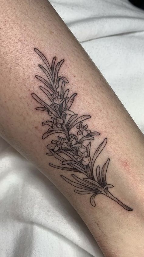 Sprig Tattoo, Rosemary Tattoo Design, Rosemary Herb Tattoo, Cedar Sprig Tattoo, Rosemary Flower Tattoo, Sage Leaf Tattoo, Lavender Rosemary Tattoo, Sage Brush Tattoo, Rosemary Sprigs Tattoo