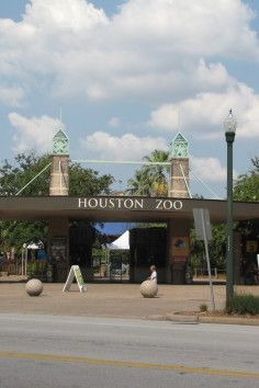 The Houston Zoo in Texas is the seventh most visited zoo in the United States. Texas Adventure, Houston Zoo, Holiday Lights Display, Cheap Hobbies, Texas Places, Hobbies For Kids, Christmas Place, Hobbies That Make Money, Texas Travel