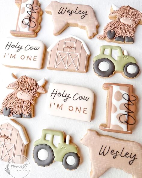 Royal Icing Sugar Cookies, Cowboy First Birthday, Icing Sugar Cookies, Baby First Birthday Themes, Rodeo Birthday Parties, Cow Birthday Parties, Barnyard Birthday Party, Royal Icing Sugar, Western Birthday Party