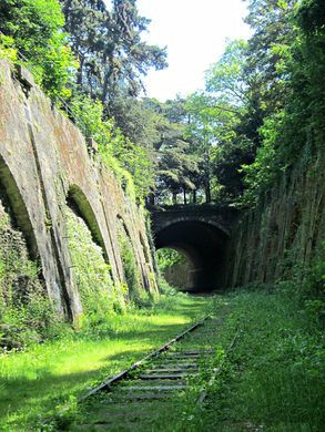 Abandoned Railway, Abandoned City, Railway Line, Apocalypse Aesthetic, City Of Paris, Urban Nature, Fantasy Places, Nature Trail, Arte Fantasy