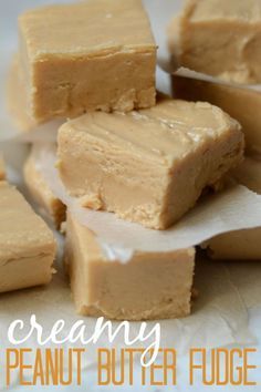 Pb Fudge, Creamy Peanut Butter Fudge, Peanut Butter Fudge Recipes Easy, Easy Peanut Butter Fudge, Fudge Dessert, Peanut Butter Fudge Recipe, Peanut Butter Fudge Easy, Food Habits, Easy Christmas Cookie Recipes