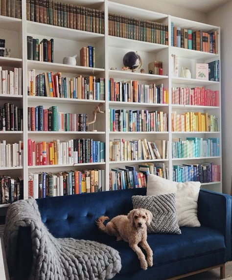 Bookcase Behind Sofa, Library At Home, Lounge Room Styling, Home Office Shelves, Behind Sofa, Library Bookshelves, My Dreams Come True, House Organisation, Kids Bedroom Inspiration