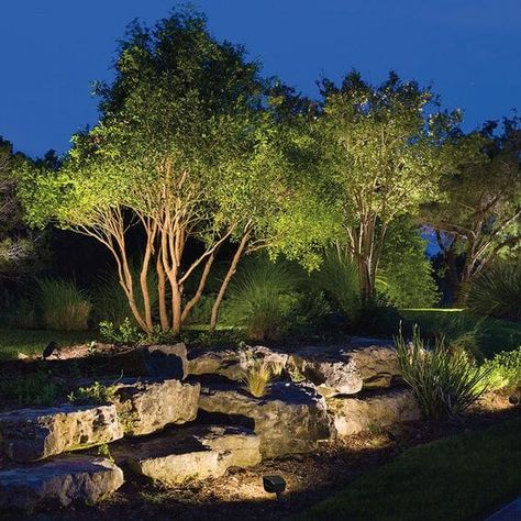 Modern Landscape Lighting, Landscaping With Large Rocks Front Yard, Landscape Lighting Design, Landscape Rock, Landscaping With Boulders, Landscaping With Large Rocks, Outdoor Landscape Lighting, Rock Garden Landscaping, Backyard Lighting