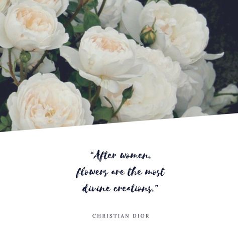 Quote about women and their beauty. Bouquets, Quote About Women, Woman And Flowers, About Women, Floral Designs, Woman Quotes, Sacramento, Florist, Floral Design