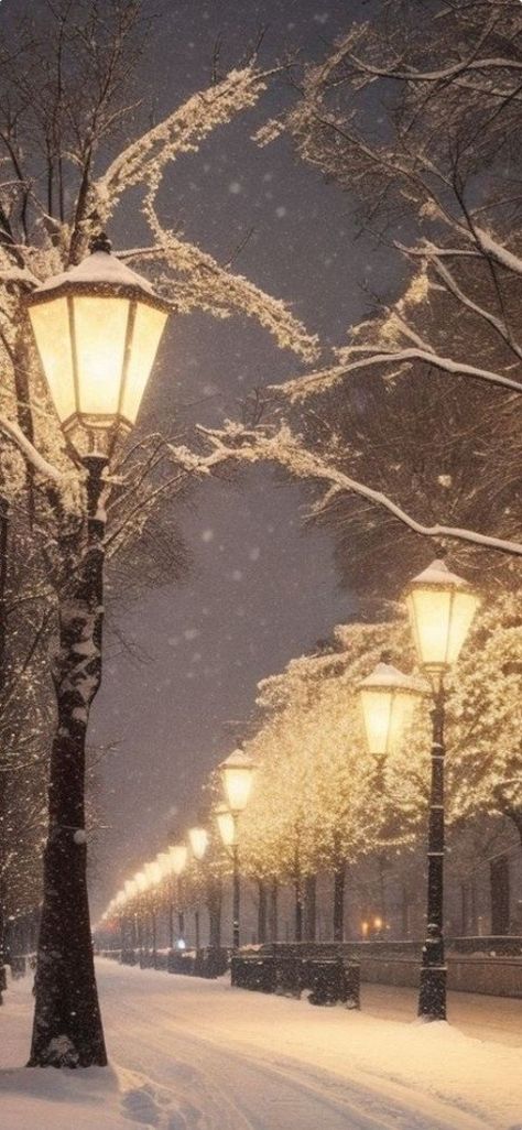 Snowy Streets At Night, French Winter Aesthetic, Cozy Winter Night Aesthetic, Snowy Aesthetic Wallpaper, Animal Expressions, Winter Wonderland Wallpaper, Winter Lights, Beautiful Winter Scenes, Snowy Night