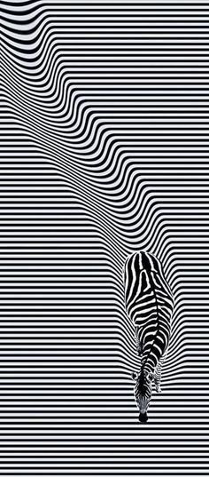 Illusion Art Black And White, Optical Illusion Background, Optical Illusion Mural, Opt Art Optical Illusions, Illusional Drawings, Optic Illusion Drawing, Optical Illusion Art Projects, 3d Pictures Optical Illusions, Optical Illusions Pictures Art