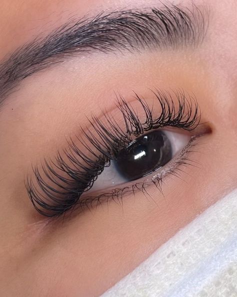 0.05 Lash Extensions, Lash Pictures, Lash Extensions Vs Lash Lift, Eyelash Extensions Russian, Yy Lash Extension, Lash Lift Vs Lash Extension, Dramatic Lashes, Lash Ideas, Natural Eyelash Extensions