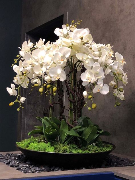 Silk Orchids Arrangements, Hotel Flower Arrangements, Orchid Vase, Orchid Flower Arrangements, Hotel Flowers, Orchid Centerpieces, Silk Orchids, Large Flower Arrangements, Artificial Orchids