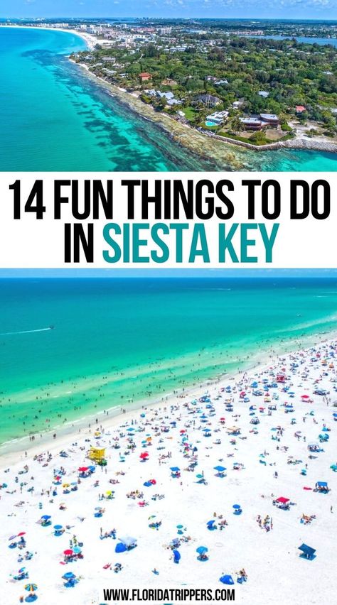 Fun Things To Do In Siesta Key Turtle Beach Florida, Siesta Beach Florida, Siesta Key Village, Florida Activities, Florida Vacation Spots, New Smyrna Beach Florida, Siesta Beach, Siesta Key Florida, Florida Travel Guide