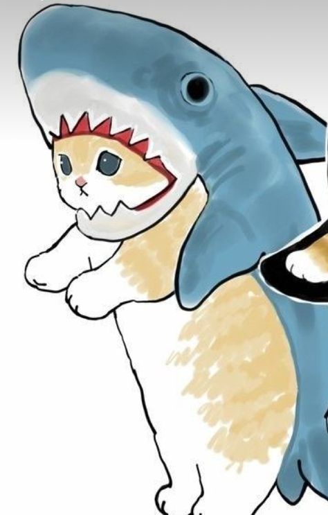 Shark kitty Matching Shark Pfps, Shark Pfps, Shark Kitty, Shark Pfp, Pfps Matching, Cat Drawing, Kitty, Drawings, Anime