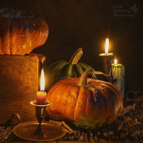 Pumpkins And Candles, Pumpkin Photography, Countryside Farmhouse, Candles Cozy, Facts About Halloween, Goblincore Aesthetic, Cottagecore Country, Halloween Facts, October Autumn